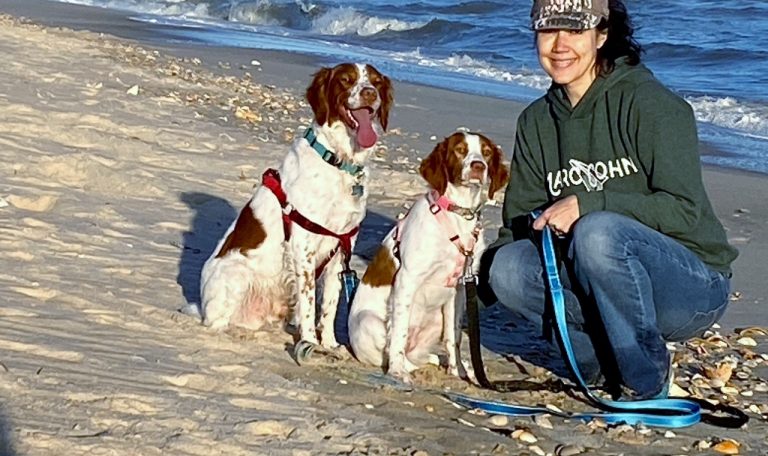st george island dog friendly vacation rental with pool