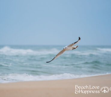 Vacation on the Gulf Coast of Florida’s Panhandle