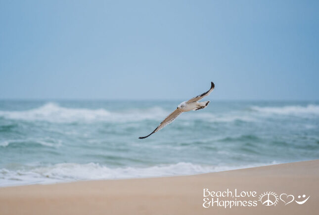 Vacation on the Gulf Coast of Florida’s Panhandle