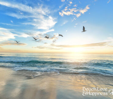 Discover the Natural Beauty and Outdoor Adventures of St. George Island