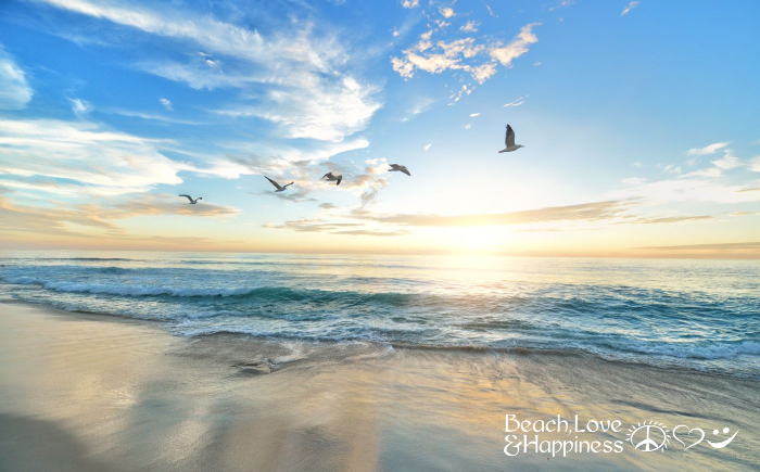 Discover the Natural Beauty and Outdoor Adventures of St. George Island