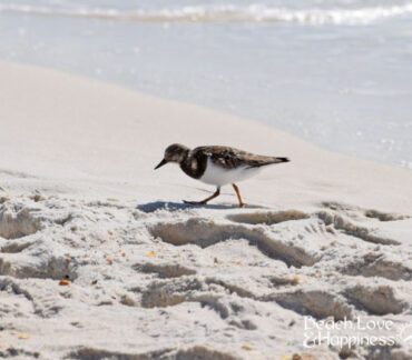 5 Reasons to Take a Fall Getaway to St. George Island, Florida