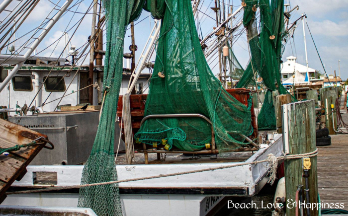 Carrabelle: A Pearl Along Florida’s Forgotten Coast