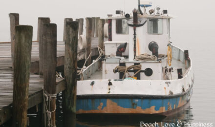 Port St. Joe: The Small Florida Town with a Big Heart