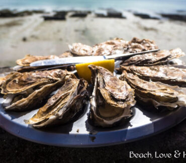 The Rise and Fall of Apalachicola’s Oyster Industry: A Story of Nature, Culture, and Hope