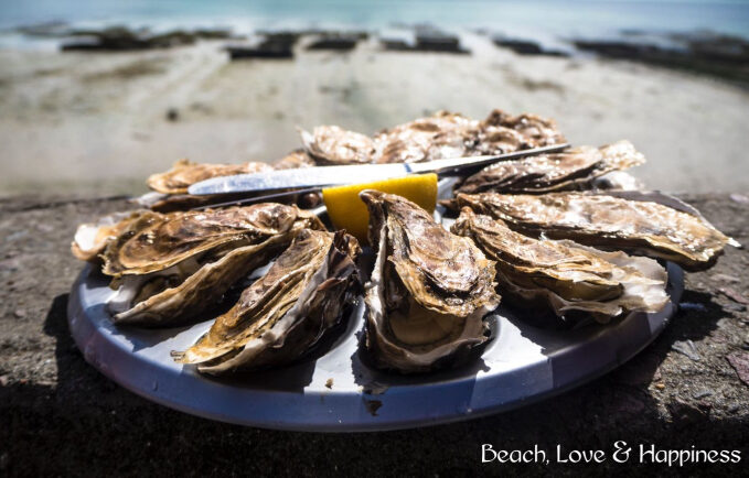 The Rise and Fall of Apalachicola’s Oyster Industry: A Story of Nature, Culture, and Hope