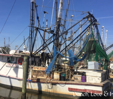 Visit Apalachicola, Florida