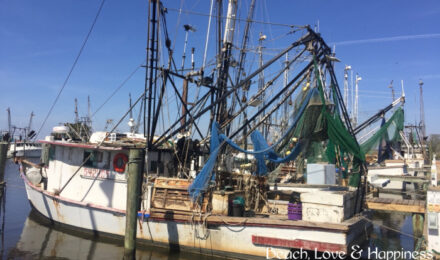 Visit Apalachicola, Florida