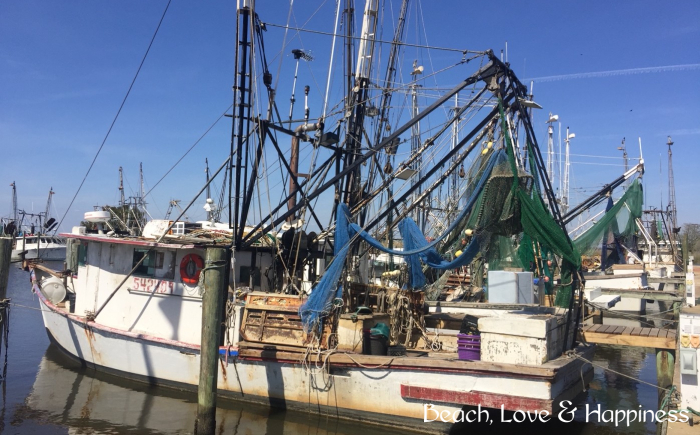 Visit Apalachicola, Florida