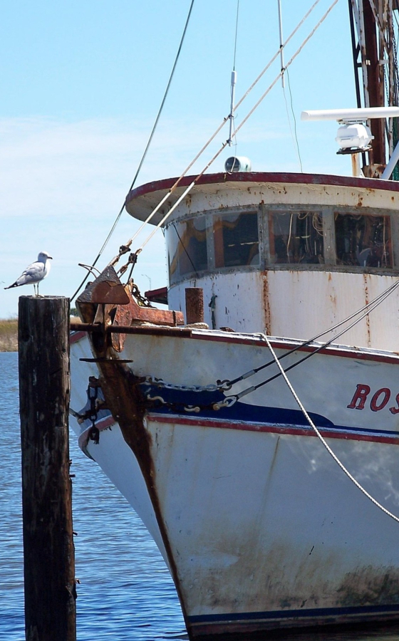 shrimp boat Apalachicola