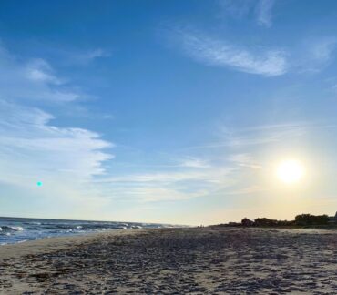 If You Like Sanibel You’ll Like St. George Island